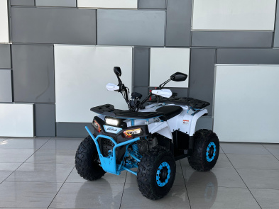 Квадроциклы 2025